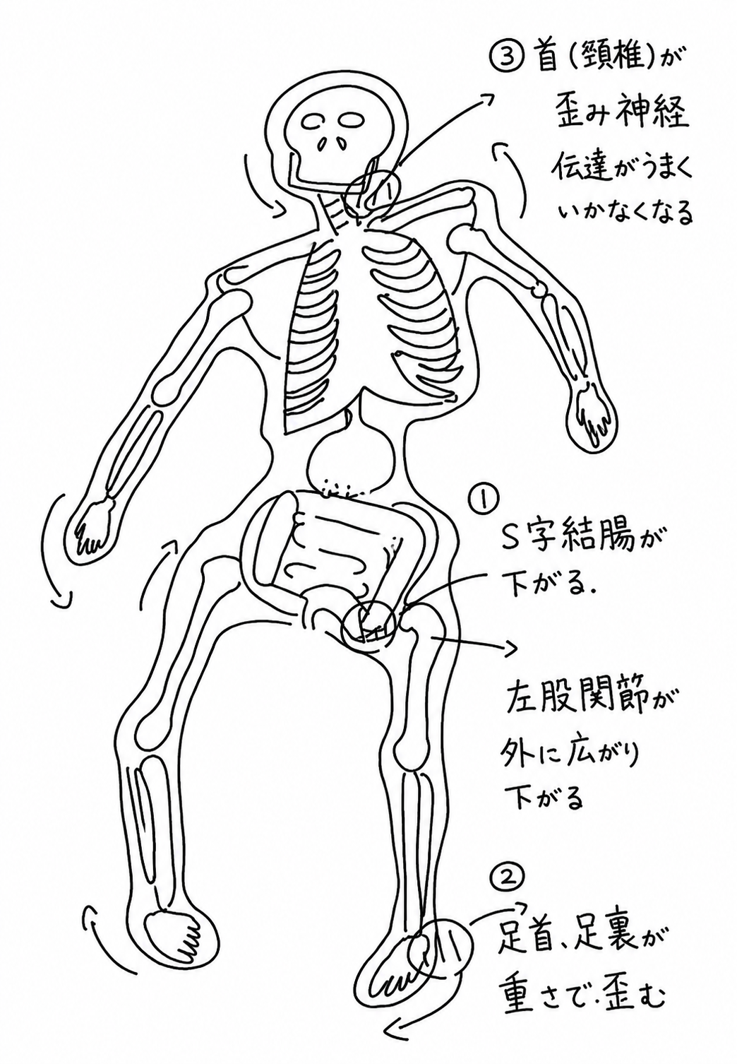 身体のつながりを示す図